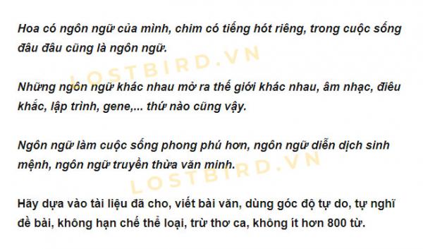 Đề thi văn tỉnh Giang Tô 10 năm qua: Một cảnh giới cao siêu đến người Trung Quốc cũng phải đổ lệ Đề thi văn tỉnh Giang Tô 10 năm qua: Một cảnh giới cao siêu đến người Trung Quốc cũng phải đổ lệ