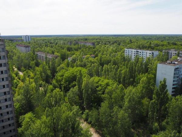 Sau thảm hoạ Chernobyl, Mẹ Thiên nhiên vẫn có cách cứu vớt những 'đứa con' của mình Sau thảm hoạ Chernobyl, Mẹ Thiên nhiên vẫn có cách cứu vớt những 'đứa con' của mình