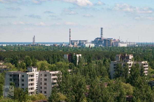 Sau thảm hoạ Chernobyl, Mẹ Thiên nhiên vẫn có cách cứu vớt những 'đứa con' của mình Sau thảm hoạ Chernobyl, Mẹ Thiên nhiên vẫn có cách cứu vớt những 'đứa con' của mình