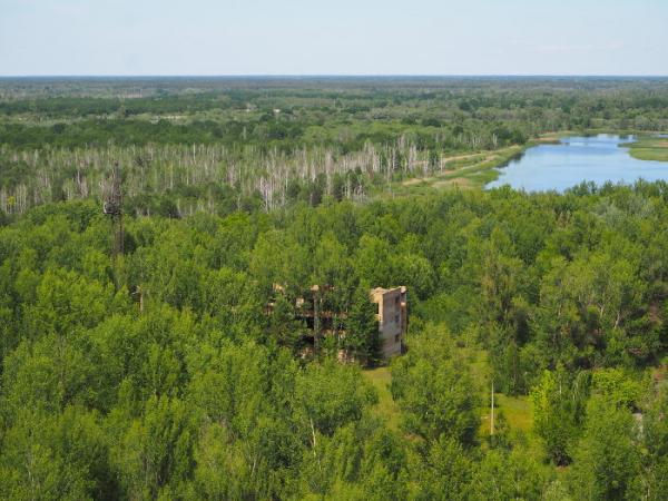 Sau thảm hoạ Chernobyl, Mẹ Thiên nhiên vẫn có cách cứu vớt những 'đứa con' của mình Sau thảm hoạ Chernobyl, Mẹ Thiên nhiên vẫn có cách cứu vớt những 'đứa con' của mình