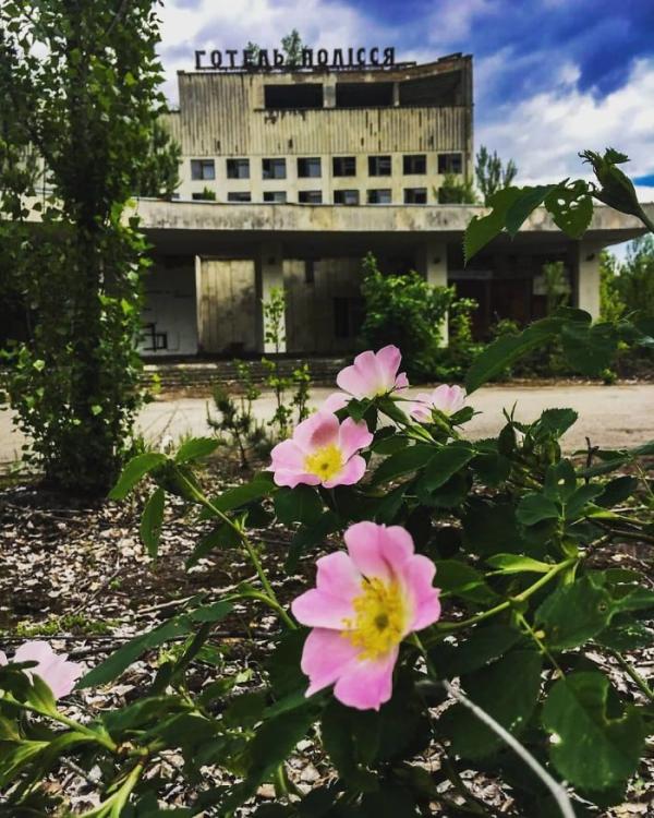Sau thảm hoạ Chernobyl, Mẹ Thiên nhiên vẫn có cách cứu vớt những 'đứa con' của mình Sau thảm hoạ Chernobyl, Mẹ Thiên nhiên vẫn có cách cứu vớt những 'đứa con' của mình