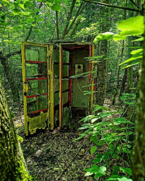 Sau thảm hoạ Chernobyl, Mẹ Thiên nhiên vẫn có cách cứu vớt những 'đứa con' của mình Sau thảm hoạ Chernobyl, Mẹ Thiên nhiên vẫn có cách cứu vớt những 'đứa con' của mình