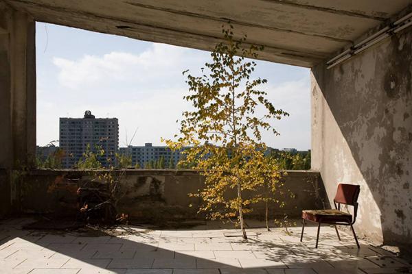 Sau thảm hoạ Chernobyl, Mẹ Thiên nhiên vẫn có cách cứu vớt những 'đứa con' của mình Sau thảm hoạ Chernobyl, Mẹ Thiên nhiên vẫn có cách cứu vớt những 'đứa con' của mình