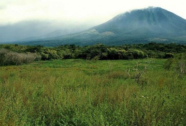 10 phát kiến thông minh giúp giải cứu hành tinh 'bị thương’ của chúng ta 10 phát kiến thông minh giúp giải cứu hành tinh 'bị thương’ của chúng ta