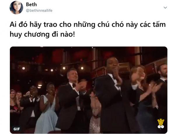 Cá mập tấn công chú chó ngơ ngác trên bãi biển và cái kết 'tuy tao yếu nhưng anh em tao đông' Cá mập tấn công chú chó ngơ ngác trên bãi biển và cái kết 'tuy tao yếu nhưng anh em tao đông'