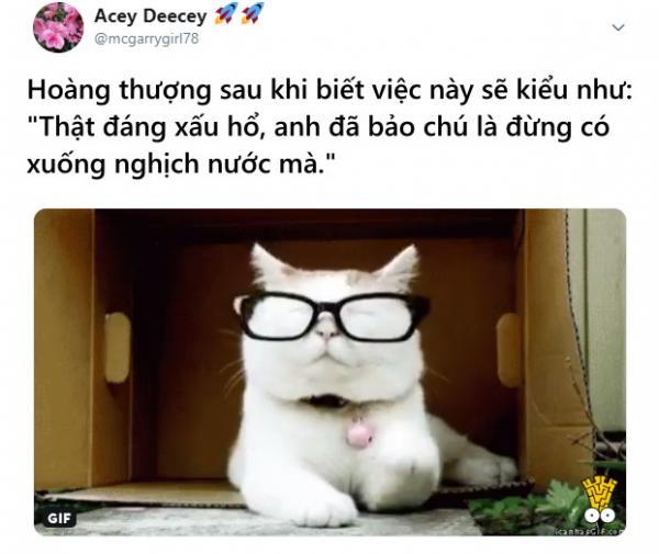 Cá mập tấn công chú chó ngơ ngác trên bãi biển và cái kết 'tuy tao yếu nhưng anh em tao đông' Cá mập tấn công chú chó ngơ ngác trên bãi biển và cái kết 'tuy tao yếu nhưng anh em tao đông'