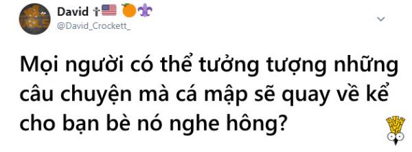 Cá mập tấn công chú chó ngơ ngác trên bãi biển và cái kết 'tuy tao yếu nhưng anh em tao đông' Cá mập tấn công chú chó ngơ ngác trên bãi biển và cái kết 'tuy tao yếu nhưng anh em tao đông'