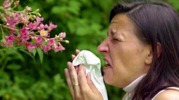 'Liều thuốc' cho chứng dị ứng phấn hoa rất đơn giản: Vaseline 'Liều thuốc' cho chứng dị ứng phấn hoa rất đơn giản: Vaseline