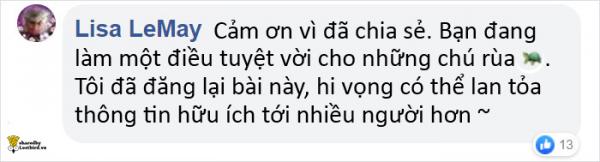 Người dân thi nhau quyên góp móc áo ngực cũ để giúp đỡ những chú rùa bị vỡ mai Người dân thi nhau quyên góp móc áo ngực cũ để giúp đỡ những chú rùa bị vỡ mai