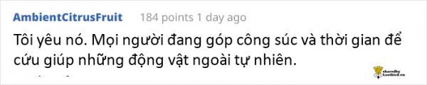 Người dân thi nhau quyên góp móc áo ngực cũ để giúp đỡ những chú rùa bị vỡ mai Người dân thi nhau quyên góp móc áo ngực cũ để giúp đỡ những chú rùa bị vỡ mai