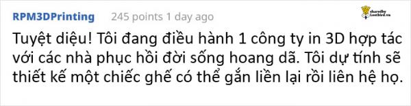 Người dân thi nhau quyên góp móc áo ngực cũ để giúp đỡ những chú rùa bị vỡ mai Người dân thi nhau quyên góp móc áo ngực cũ để giúp đỡ những chú rùa bị vỡ mai