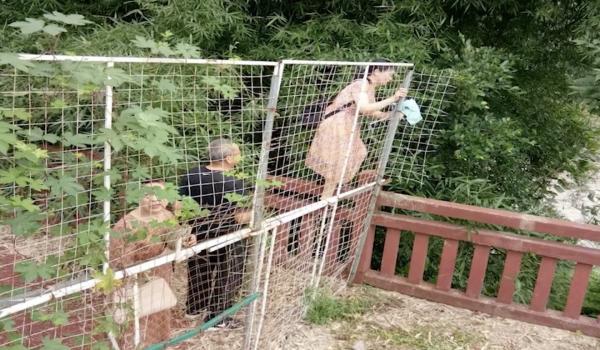 Công viên sinh thái Trung Quốc buộc phải đóng cửa sau khi bị khách du lịch hái hết hoa sen Công viên sinh thái Trung Quốc buộc phải đóng cửa sau khi bị khách du lịch hái hết hoa sen