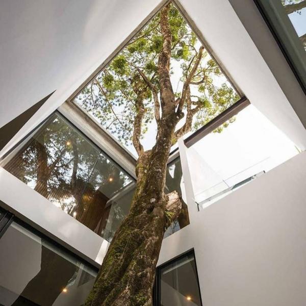 Những bức ảnh sâu sắc về tinh thần tôn trọng thiên nhiên giúp ta lấy lại niềm tin vào loài người Những bức ảnh sâu sắc về tinh thần tôn trọng thiên nhiên giúp ta lấy lại niềm tin vào loài người