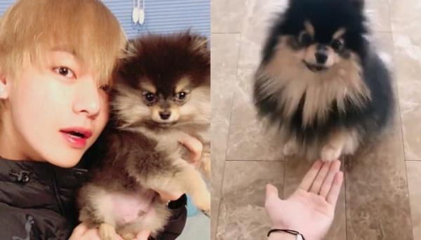 Quá thân thiện, BTS V biến sân bay thành fanmeeting với các phóng viên nam Quá thân thiện, BTS V biến sân bay thành fanmeeting với các phóng viên nam