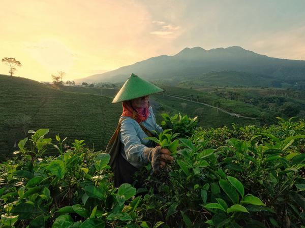 AGORA vinh danh 50 bức ảnh đẹp nhất thế giới về chủ đề lao động, đại diện Việt Nam cũng có mặt AGORA vinh danh 50 bức ảnh đẹp nhất thế giới về chủ đề lao động, đại diện Việt Nam cũng có mặt