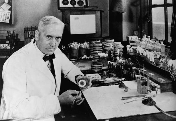 Câu chuyện về penicillin, liều thuốc kháng sinh và quả dưa lưới thay đổi lịch sử Câu chuyện về penicillin, liều thuốc kháng sinh và quả dưa lưới thay đổi lịch sử