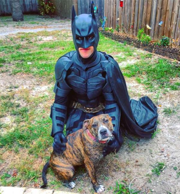 Batman đời thực không bắt tội phạm mà đi cứu những chú chó mèo bị bỏ rơi Batman đời thực không bắt tội phạm mà đi cứu những chú chó mèo bị bỏ rơi
