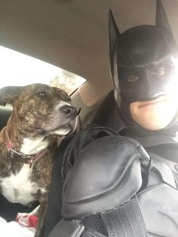 Batman đời thực không bắt tội phạm mà đi cứu những chú chó mèo bị bỏ rơi Batman đời thực không bắt tội phạm mà đi cứu những chú chó mèo bị bỏ rơi