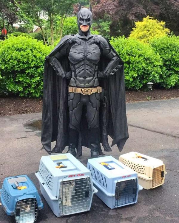 Batman đời thực không bắt tội phạm mà đi cứu những chú chó mèo bị bỏ rơi Batman đời thực không bắt tội phạm mà đi cứu những chú chó mèo bị bỏ rơi