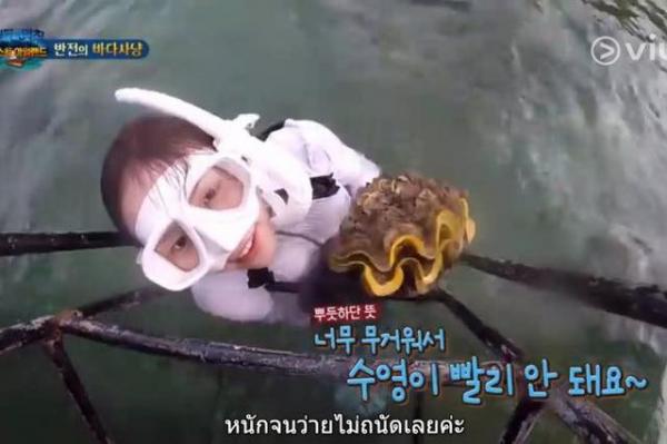 Nữ diễn viên Hàn có nguy cơ đi tù vì bắt sò quý ở Thái Lan: Nhà đài từng ký thoả thuận không săn bắt? Nữ diễn viên Hàn có nguy cơ đi tù vì bắt sò quý ở Thái Lan: Nhà đài từng ký thoả thuận không săn bắt?