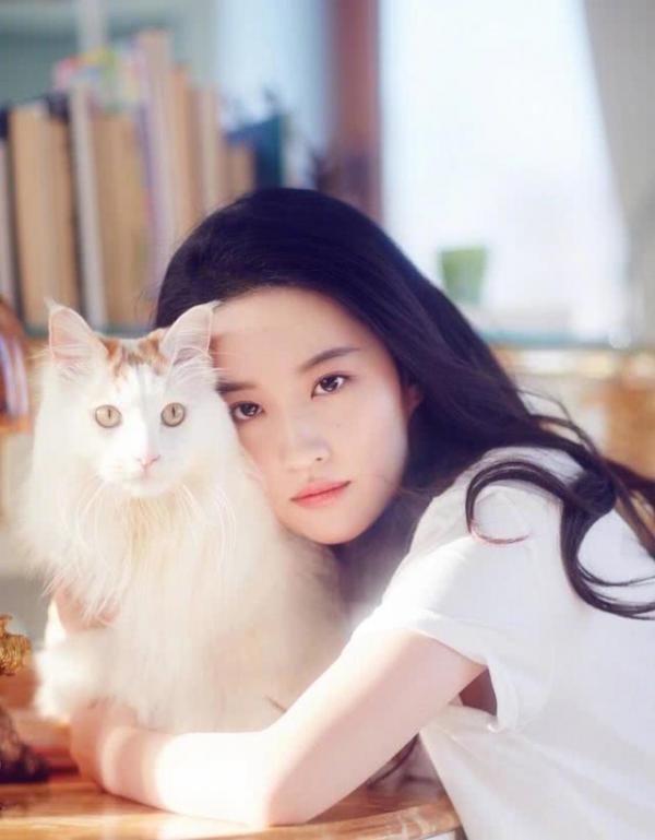 Chê Lưu Diệc Phi quá bánh bèo so với 'Mộc Lan', dân Hàn nhiệt liệt đề cử người đẹp của nước mình Chê Lưu Diệc Phi quá bánh bèo so với 'Mộc Lan', dân Hàn nhiệt liệt đề cử người đẹp của nước mình