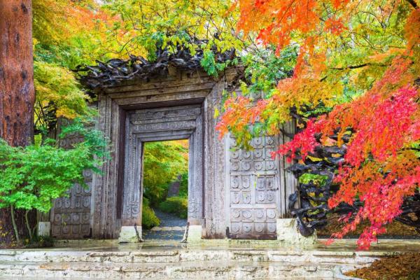Có gì trong 6 bảo tàng đẹp nhất Nhật Bản mà người sống Zen nhất định phải đến? Có gì trong 6 bảo tàng đẹp nhất Nhật Bản mà người sống Zen nhất định phải đến?