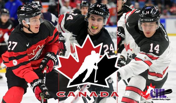 Bạn có biết ngỗng Canada là một loài rất 'cục súc'? Bạn có biết ngỗng Canada là một loài rất 'cục súc'?
