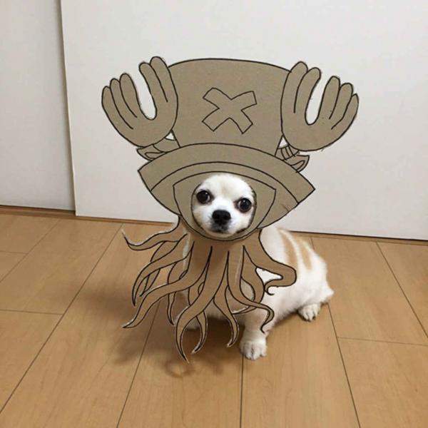 Khi ‘sen’ khiến ‘boss’ đáng yêu hơn với loạt hình cosplay cùng bìa các tông Khi ‘sen’ khiến ‘boss’ đáng yêu hơn với loạt hình cosplay cùng bìa các tông