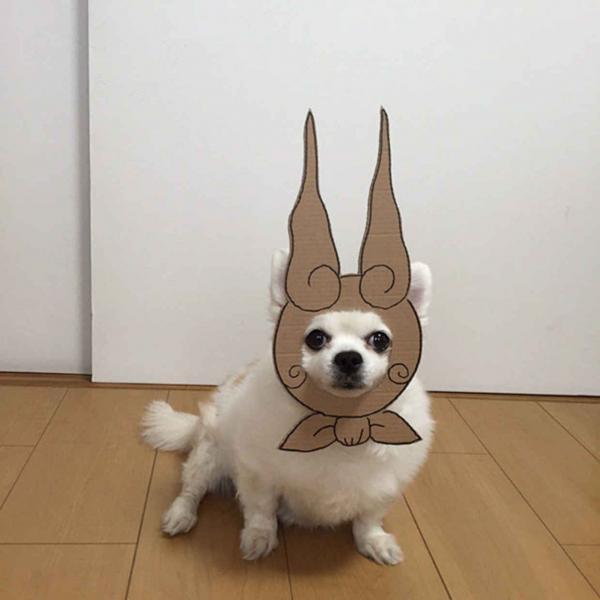 Khi ‘sen’ khiến ‘boss’ đáng yêu hơn với loạt hình cosplay cùng bìa các tông Khi ‘sen’ khiến ‘boss’ đáng yêu hơn với loạt hình cosplay cùng bìa các tông