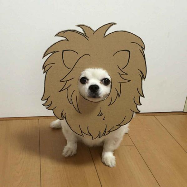 Khi ‘sen’ khiến ‘boss’ đáng yêu hơn với loạt hình cosplay cùng bìa các tông Khi ‘sen’ khiến ‘boss’ đáng yêu hơn với loạt hình cosplay cùng bìa các tông