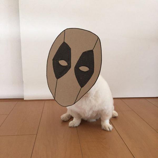 Khi ‘sen’ khiến ‘boss’ đáng yêu hơn với loạt hình cosplay cùng bìa các tông Khi ‘sen’ khiến ‘boss’ đáng yêu hơn với loạt hình cosplay cùng bìa các tông