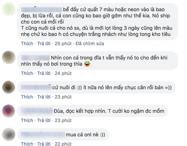Chuyện đi mua cá cảnh online và cái kết khiến ai cũng 'cười không nhặt được mồm' Chuyện đi mua cá cảnh online và cái kết khiến ai cũng 'cười không nhặt được mồm'