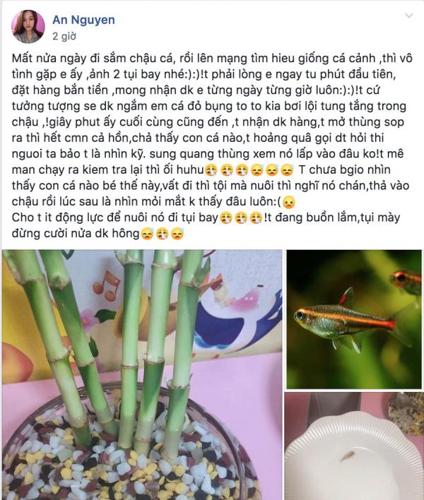 Chuyện đi mua cá cảnh online và cái kết khiến ai cũng 'cười không nhặt được mồm' Chuyện đi mua cá cảnh online và cái kết khiến ai cũng 'cười không nhặt được mồm'