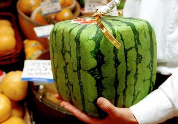 10 điều điên rồ khiến khách du lịch ngạc nhiên khi ghé thăm xứ hoa anh đào 10 điều điên rồ khiến khách du lịch ngạc nhiên khi ghé thăm xứ hoa anh đào