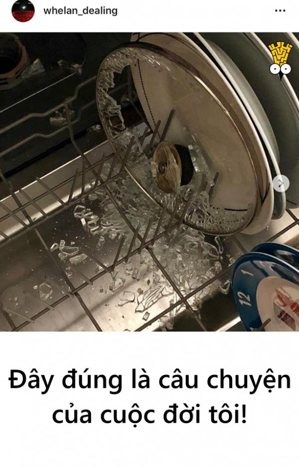 'Cười ngặt nghẽo' với những tai nạn hài hước khi sử dụng máy rửa chén bát 'Cười ngặt nghẽo' với những tai nạn hài hước khi sử dụng máy rửa chén bát