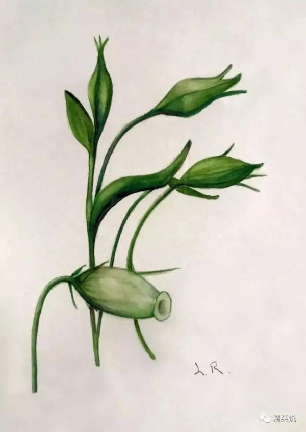 Cặp chị em truyền kì nước Mỹ: Cưới hai người đàn ông quyền thế nhất thế giới, kết cục hoàn toàn khác nhau Cặp chị em truyền kì nước Mỹ: Cưới hai người đàn ông quyền thế nhất thế giới, kết cục hoàn toàn khác nhau