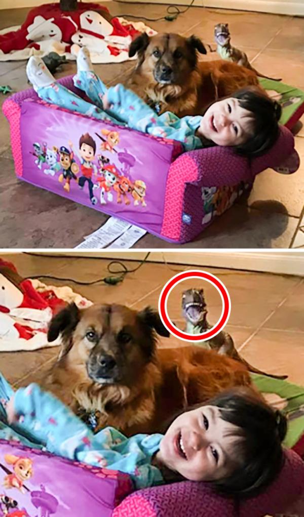 Cười mệt xỉu với bộ sưu tập hình ảnh 'photobomb' đỉnh cao nhất năm 2019 Cười mệt xỉu với bộ sưu tập hình ảnh 'photobomb' đỉnh cao nhất năm 2019