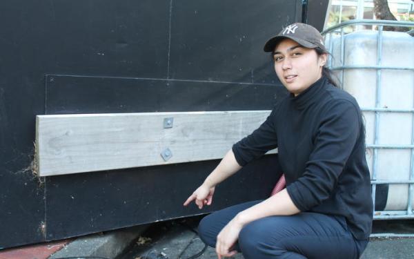Đôi chim cánh cụt trốn trong nhà hàng sushi dù bị cảnh sát 'áp giải' đi nơi khác vẫn cố tình quay trở về chỗ cũ Đôi chim cánh cụt trốn trong nhà hàng sushi dù bị cảnh sát 'áp giải' đi nơi khác vẫn cố tình quay trở về chỗ cũ