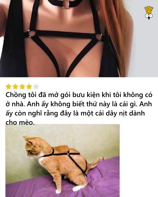 Khoảnh khắc khiến bạn giật mình nhận ra 'nửa kia' của mình chính là một kẻ ngốc Khoảnh khắc khiến bạn giật mình nhận ra 'nửa kia' của mình chính là một kẻ ngốc