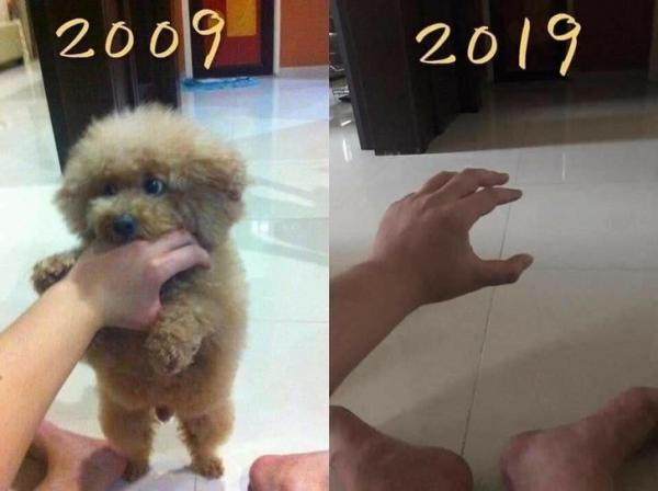 24 bức ảnh chứng minh thời gian sẽ không bao giờ quay trở lại 24 bức ảnh chứng minh thời gian sẽ không bao giờ quay trở lại