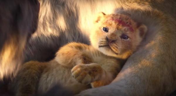Ông bố khuyến cáo các bậc phụ huynh không nên cho con xem 'The Lion King' Ông bố khuyến cáo các bậc phụ huynh không nên cho con xem 'The Lion King'