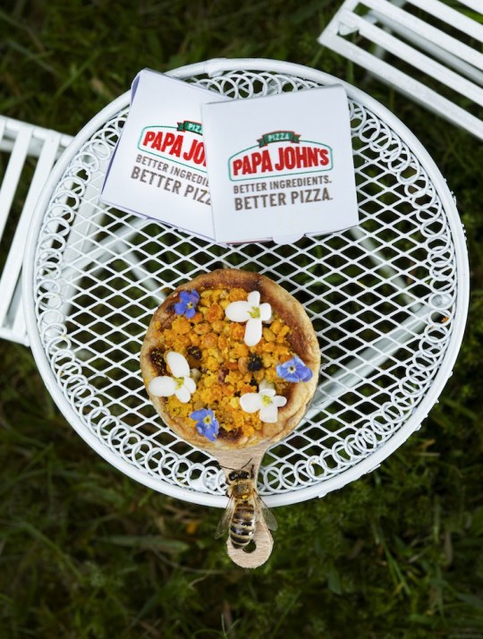 Papa John's ra mắt món mới 'Beezza' - bé đến nỗi chỉ dành cho các chú ong Papa John's ra mắt món mới 'Beezza' - bé đến nỗi chỉ dành cho các chú ong