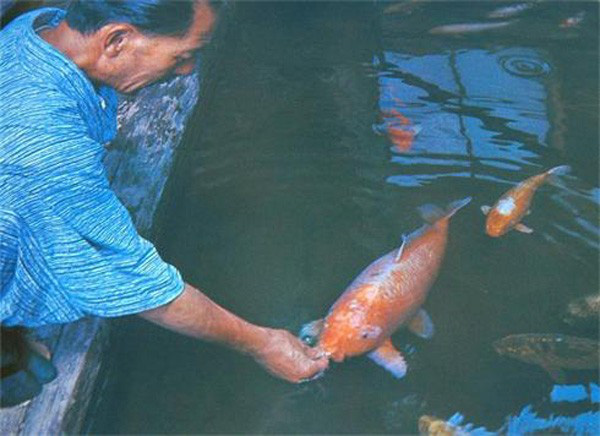 Những sinh vật sống dai nhất đã tồn tại trên hành tinh chúng ta Những sinh vật sống dai nhất đã tồn tại trên hành tinh chúng ta