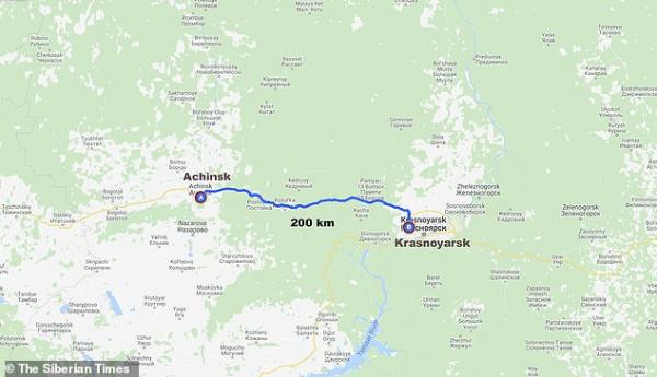 Chú chó bị bỏ rơi đã đi bộ 200km trong nước mắt để về bên chủ Chú chó bị bỏ rơi đã đi bộ 200km trong nước mắt để về bên chủ