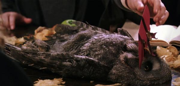 Hơn 20 năm trôi qua, vẫn còn quá nhiều chi tiết ẩn ý mà chúng ta chưa hiểu hết trong 'Harry Potter' Hơn 20 năm trôi qua, vẫn còn quá nhiều chi tiết ẩn ý mà chúng ta chưa hiểu hết trong 'Harry Potter'