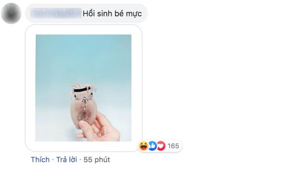 Bé mực 'tóc hai mái Đan Trường' hot nhất MXH, dân mạng đòi hồi sinh ẻm vì quá dễ cưng Bé mực 'tóc hai mái Đan Trường' hot nhất MXH, dân mạng đòi hồi sinh ẻm vì quá dễ cưng