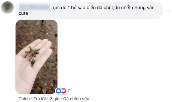 Bé mực 'tóc hai mái Đan Trường' hot nhất MXH, dân mạng đòi hồi sinh ẻm vì quá dễ cưng Bé mực 'tóc hai mái Đan Trường' hot nhất MXH, dân mạng đòi hồi sinh ẻm vì quá dễ cưng