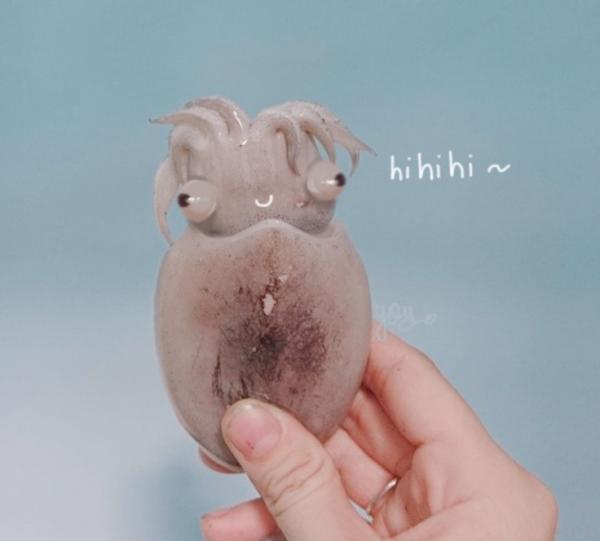 Bé mực 'tóc hai mái Đan Trường' hot nhất MXH, dân mạng đòi hồi sinh ẻm vì quá dễ cưng Bé mực 'tóc hai mái Đan Trường' hot nhất MXH, dân mạng đòi hồi sinh ẻm vì quá dễ cưng