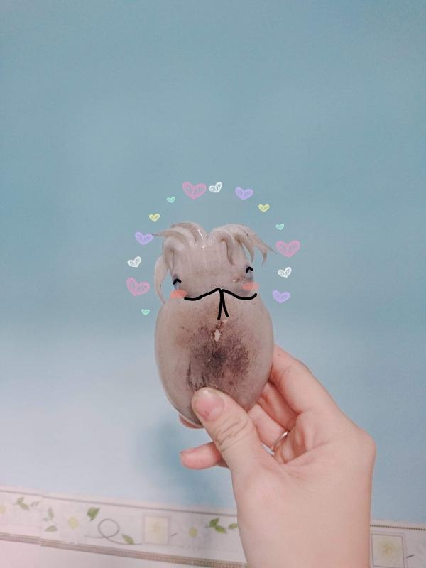 Bé mực 'tóc hai mái Đan Trường' hot nhất MXH, dân mạng đòi hồi sinh ẻm vì quá dễ cưng Bé mực 'tóc hai mái Đan Trường' hot nhất MXH, dân mạng đòi hồi sinh ẻm vì quá dễ cưng