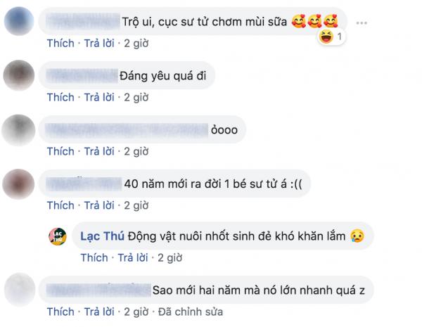 'Chết chìm' trong sự đáng yêu của Bahati - nguyên mẫu của 'Vua Sư Tử' Simba khi còn bé 'Chết chìm' trong sự đáng yêu của Bahati - nguyên mẫu của 'Vua Sư Tử' Simba khi còn bé